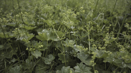 Similar image 22369223