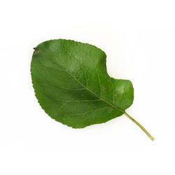 Similar image 22362419