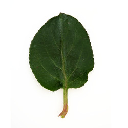 Similar image 22362434