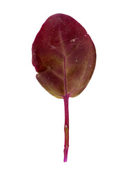 Similar image 22362448