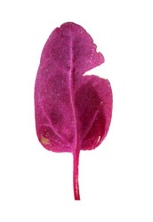 Similar image 22362462