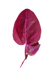 Similar image 22362463