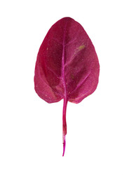 Similar image 22362477