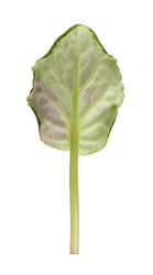 Similar image 22362478