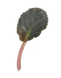 Similar image 22362492