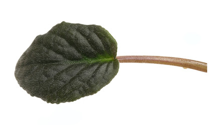 Similar image 22362493