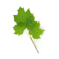 Similar image 22362508