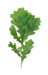 Similar image 22362523