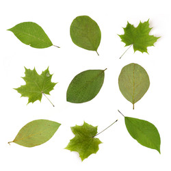 Similar image 22362887