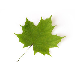 Similar image 22363024