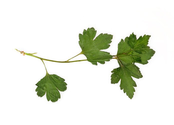 Similar image 22363038