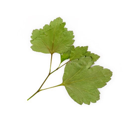 Similar image 22363052