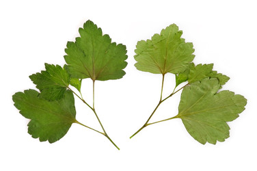 Similar image 22363053