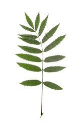 Similar image 22363067