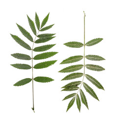 Similar image 22363068