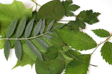 Similar image 22363082