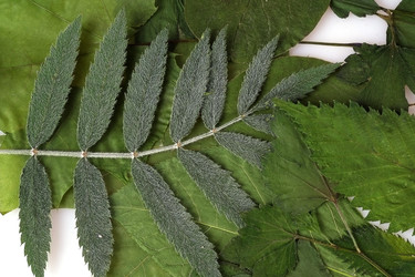 Similar image 22363083