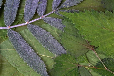 Similar image 22363097