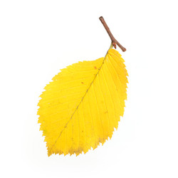 Similar image 22363125