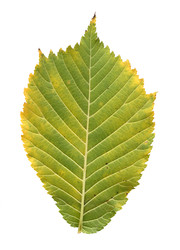 Similar image 22363142