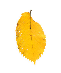 Similar image 22363143