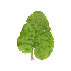 Similar image 22363156