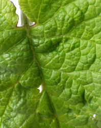 Similar image 22363172