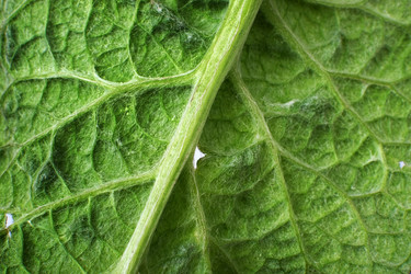 Similar image 22363173