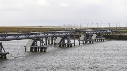 Similar image 22369075