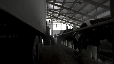 Similar image 22369388