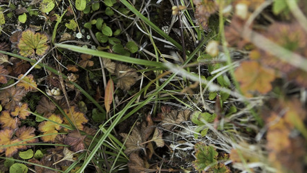 Similar image 22369858