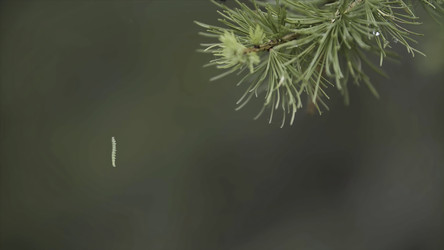 Similar image 22370016