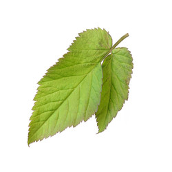 Similar image 22361881