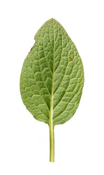 Similar image 22361898