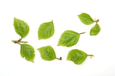 Similar image 22361911