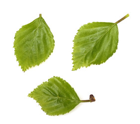 Similar image 22361912