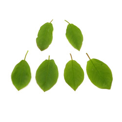 Similar image 22361942