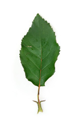 Similar image 22361972