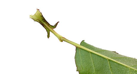 Similar image 22361983