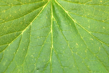 Similar image 22362015