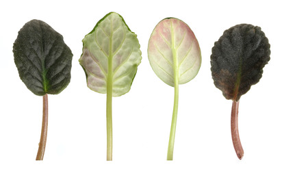 Similar image 22362029