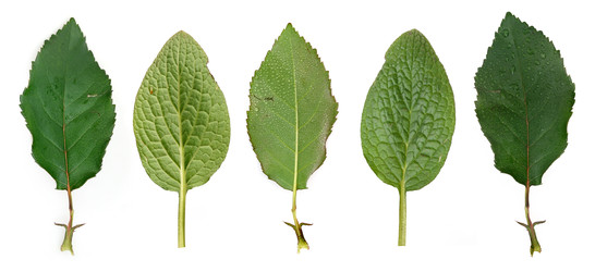 Similar image 22362045