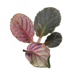 Similar image 22362075