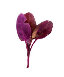 Similar image 22362076