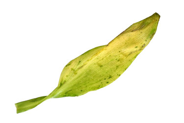 Similar image 22362090