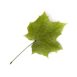 Similar image 22362120