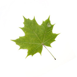 Similar image 22362121