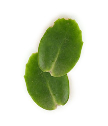 Similar image 22362138