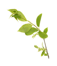 Similar image 22362181