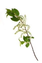 Similar image 22362182